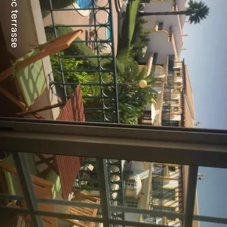 Alegria